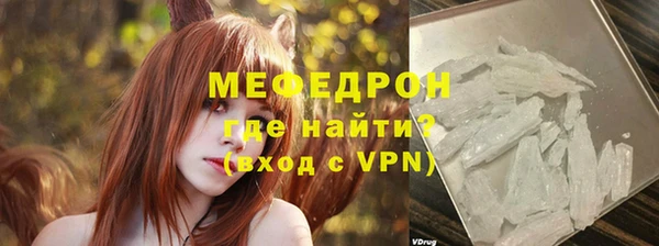 шишки Инта