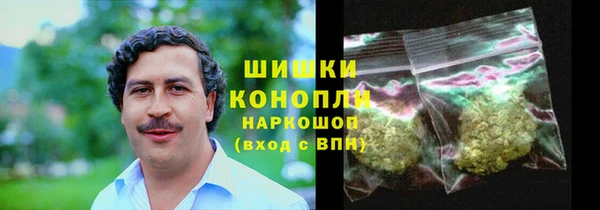 шишки Инта