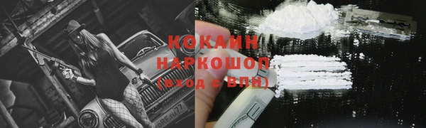 шишки Инта