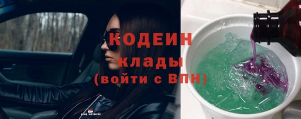 шишки Инта