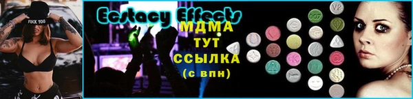 шишки Инта