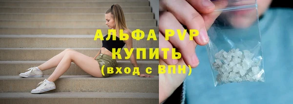 мет Инсар