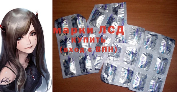 мет Инсар