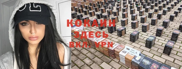 шишки Инта