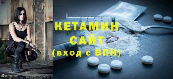 шишки Инта