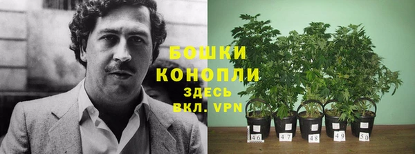 мет Инсар